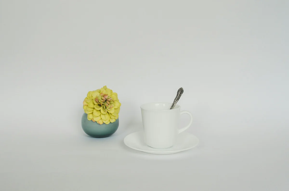 Product photo with flat, even lighting before AI relighting